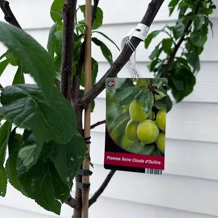 The Door H2 Stavanger