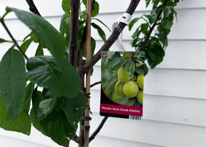 The Door H2 斯塔万格